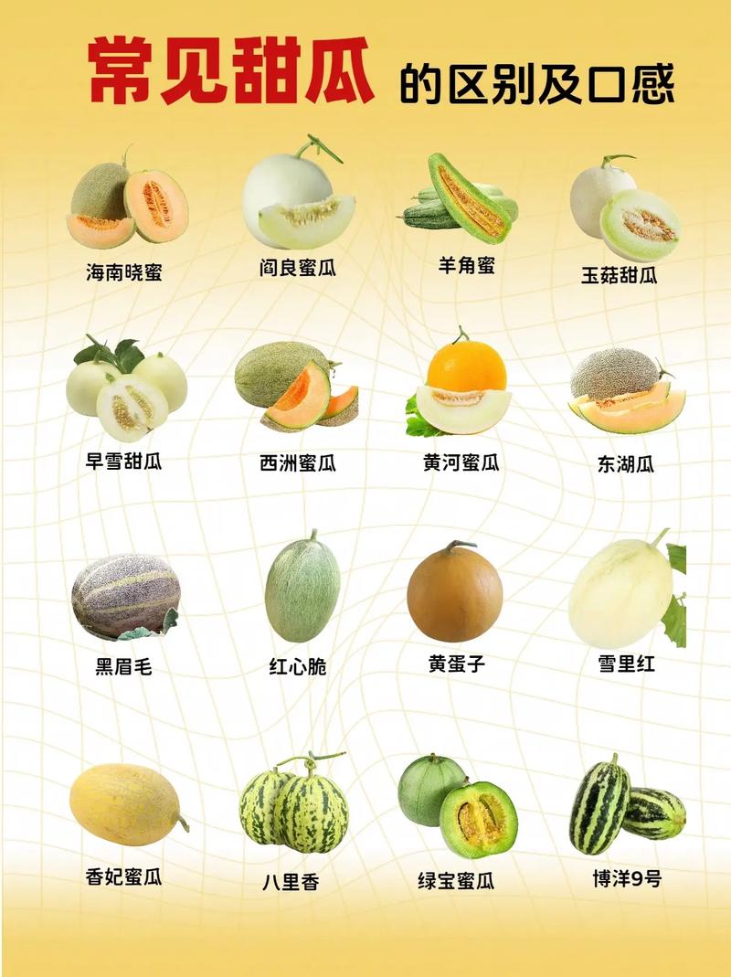香瓜十大品种2025年排行榜前十名榜单出炉 香瓜十大品种2025年排行榜前十名榜单出炉