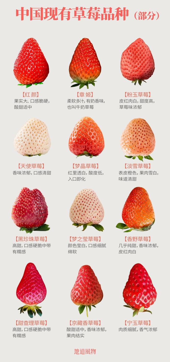 中国草莓十大品种2025年排行榜前十名榜单出炉