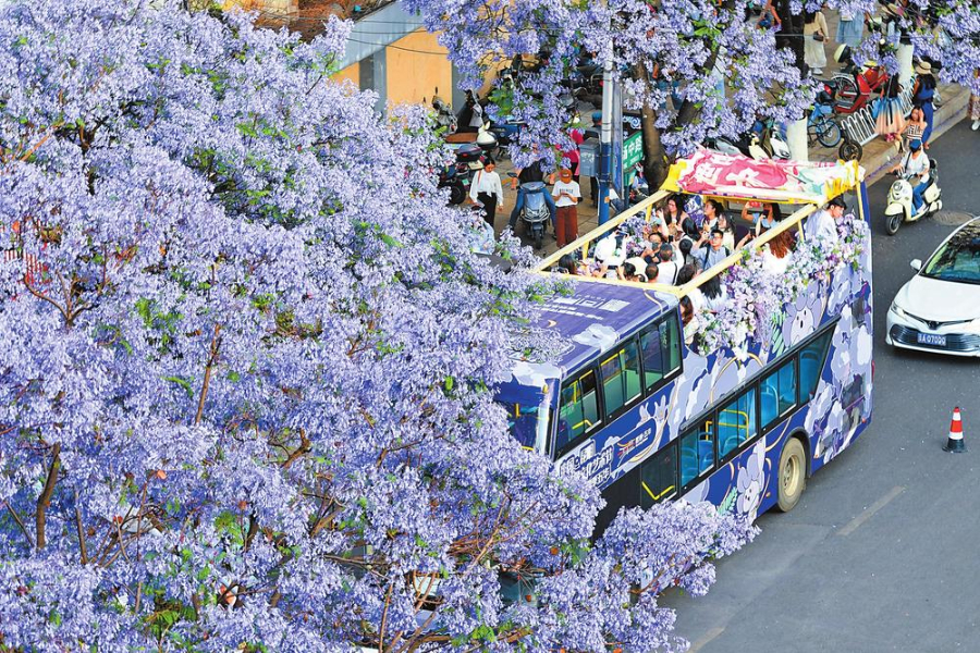 昆明十大赏花胜地2025年排行榜前十名榜单出炉