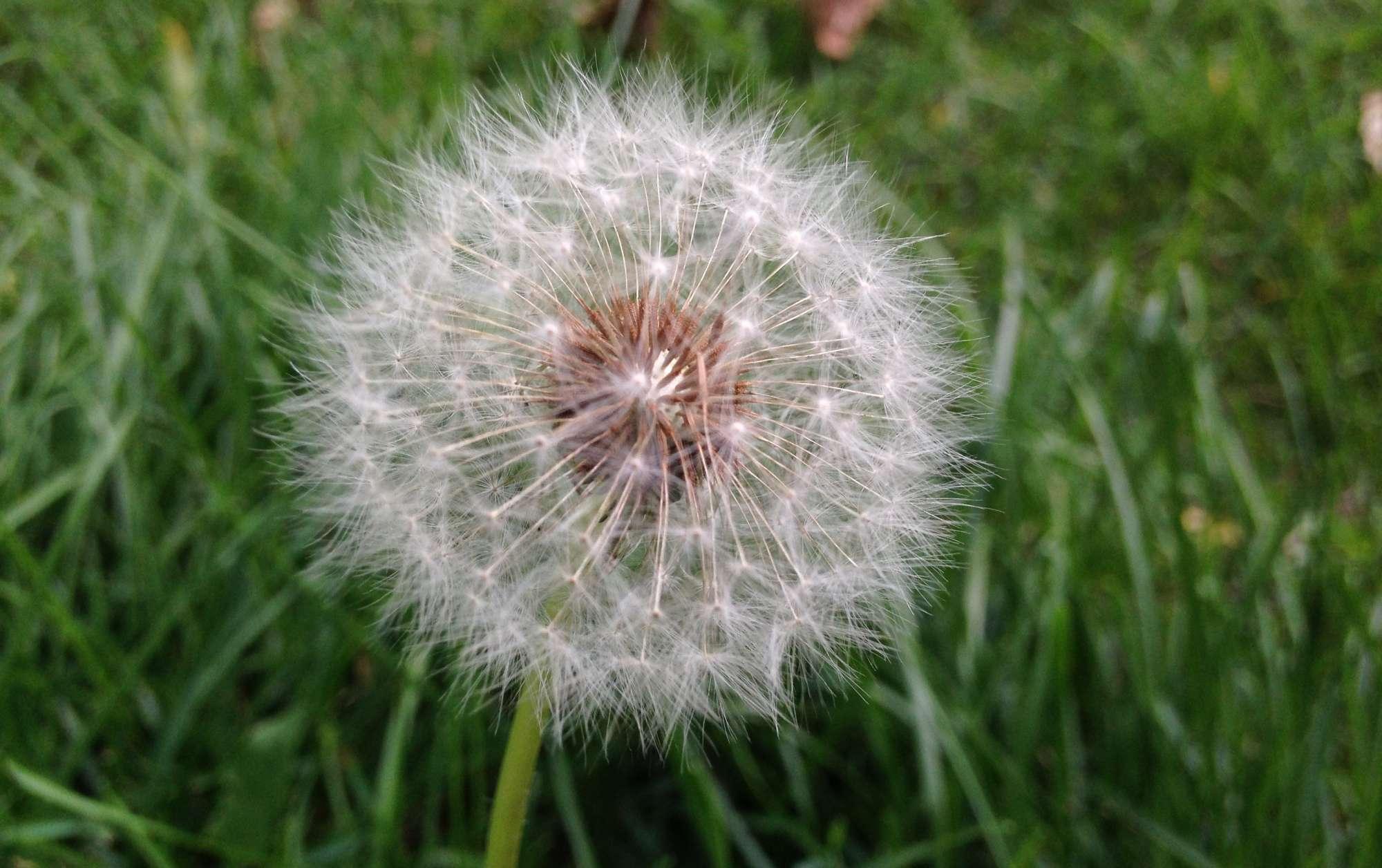 内蒙古十大夏季旅游好去处2025年排行榜前十名榜单出炉