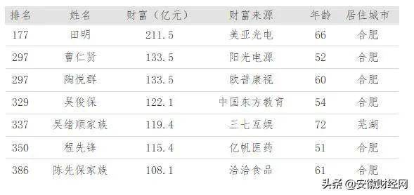 2021合肥十大富豪2025年排行榜前十名榜单出炉