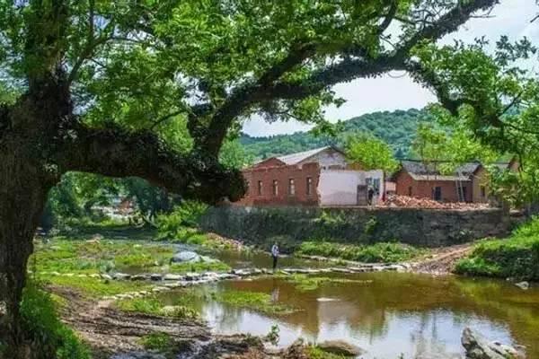 河南十大适合亲子旅游的地方2025年排行榜前十名榜单出炉