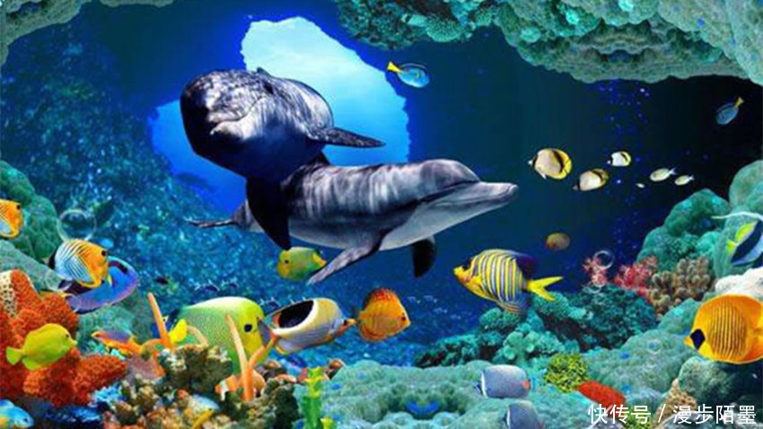 中国十大海洋馆2025年排行榜前十名榜单出炉