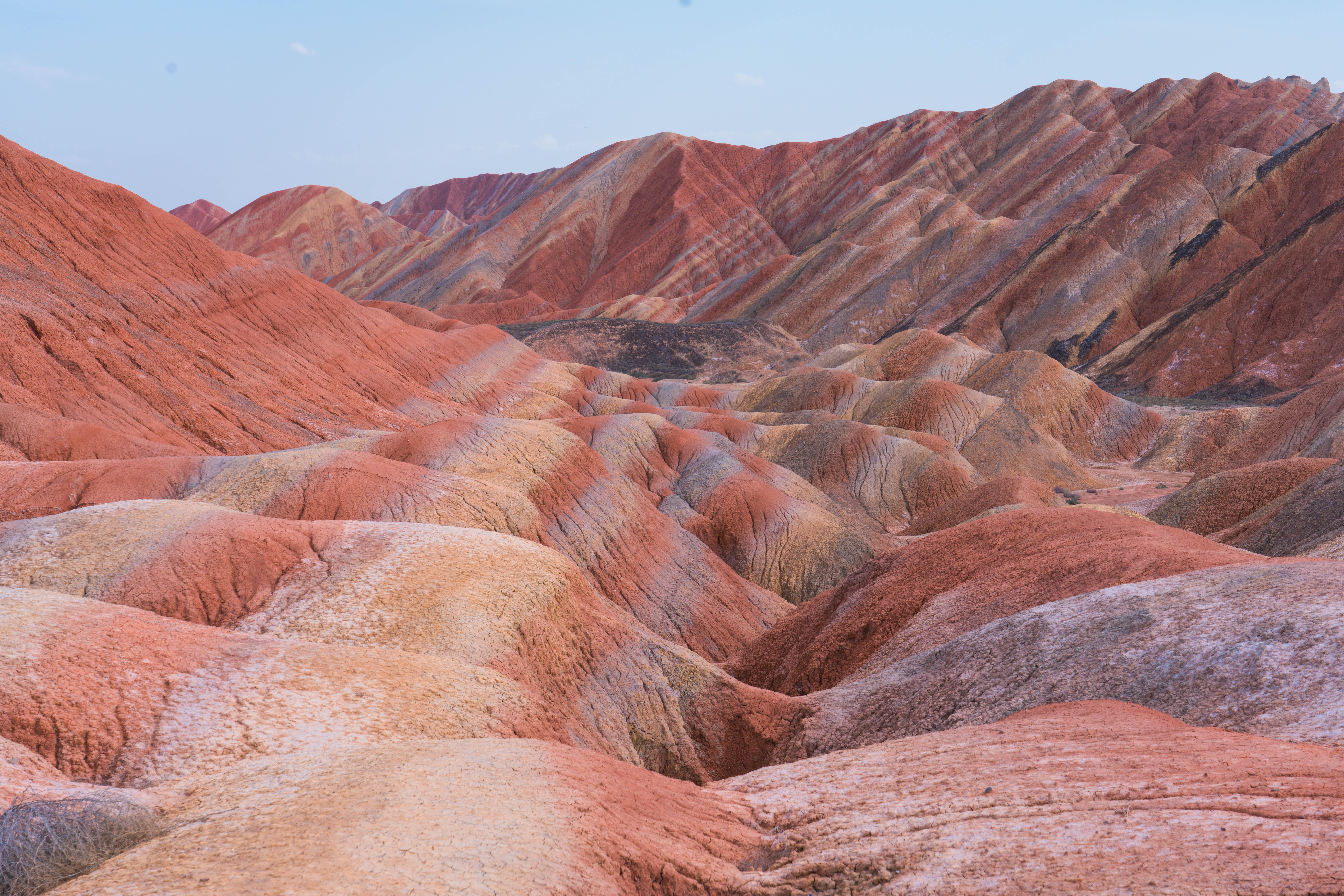 甘肃著名地理标志保护产品2025年排行榜前十名榜单出炉