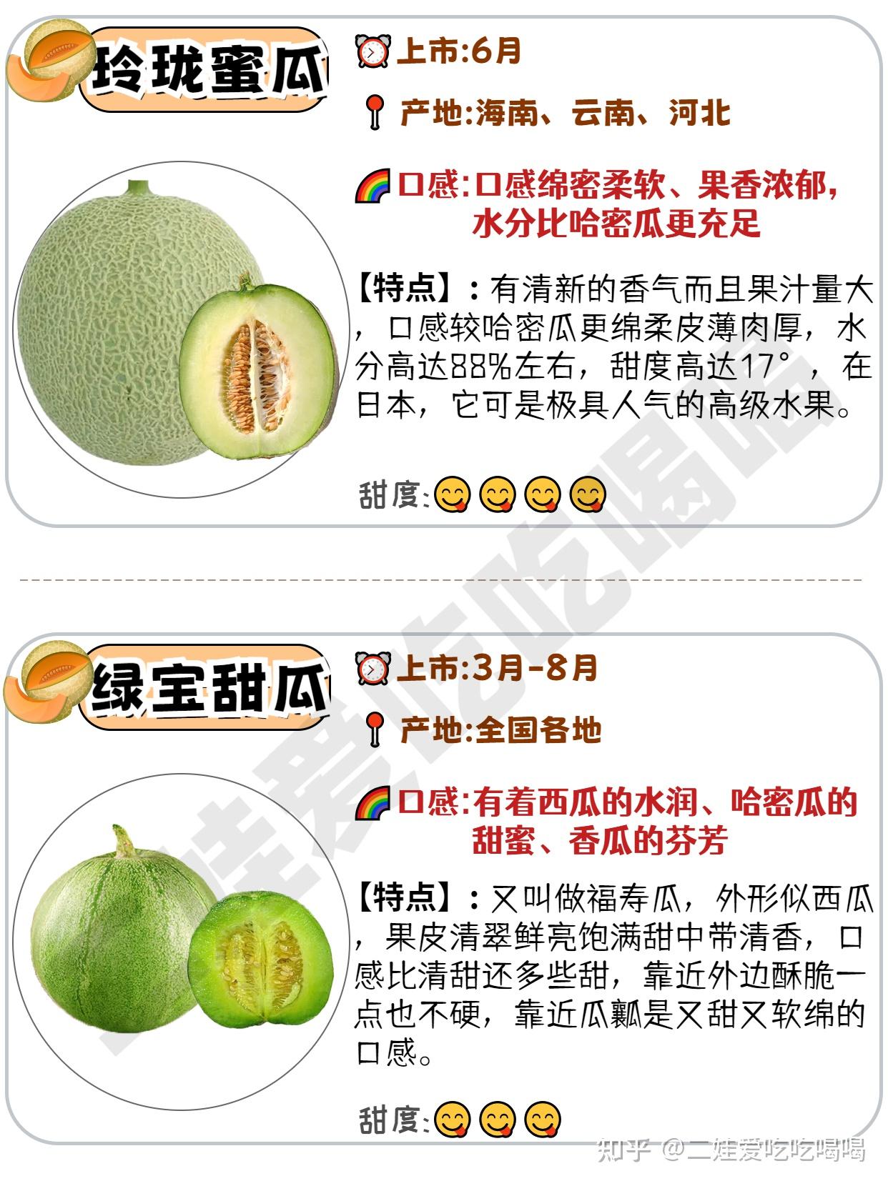 哈密瓜十大品种2025年排行榜前十名榜单出炉