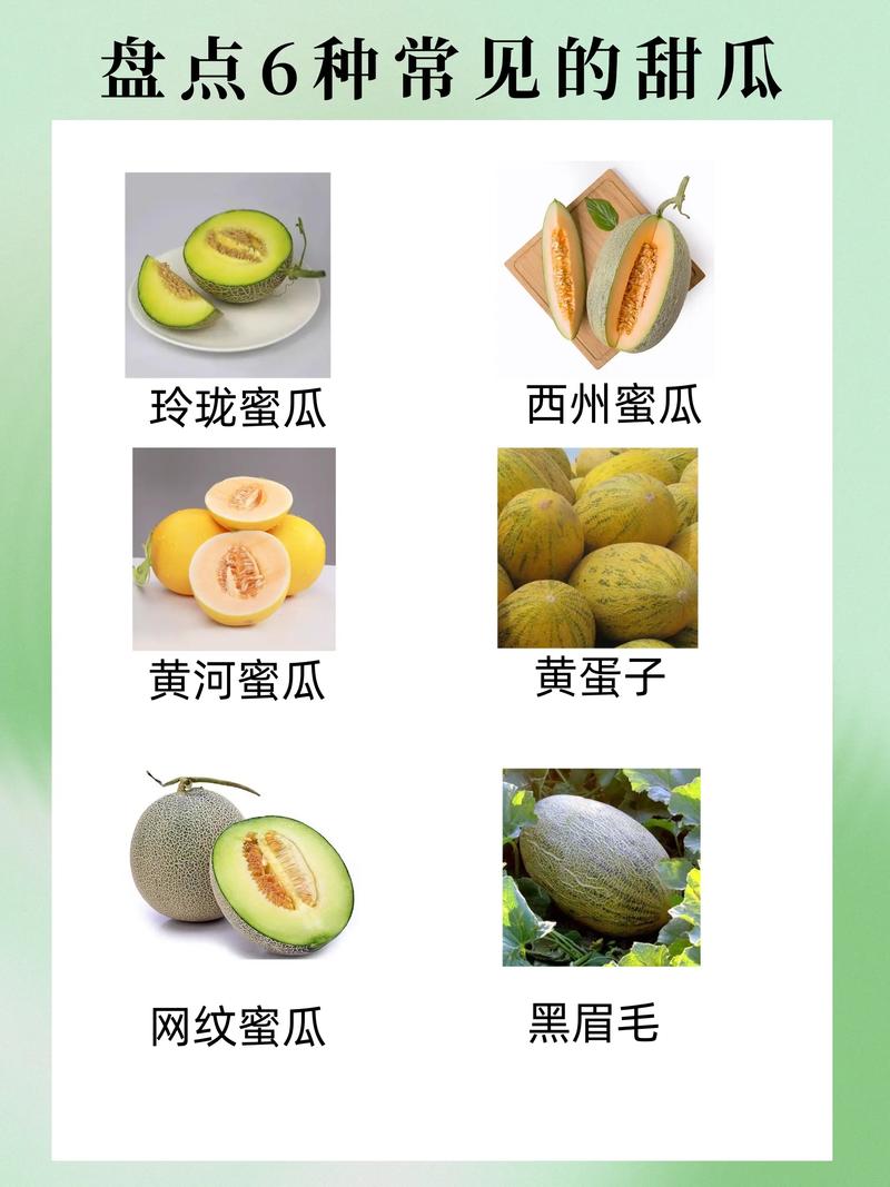 哈密瓜十大品种2025年排行榜前十名榜单出炉