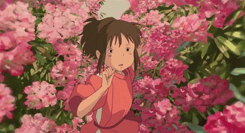 江门十大赏花好去处2025年排行榜前十名榜单出炉