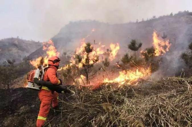 甘肃省十大初中2025年排行榜前十名榜单出炉 甘肃省十大初中2025年排行榜前十名榜单出炉