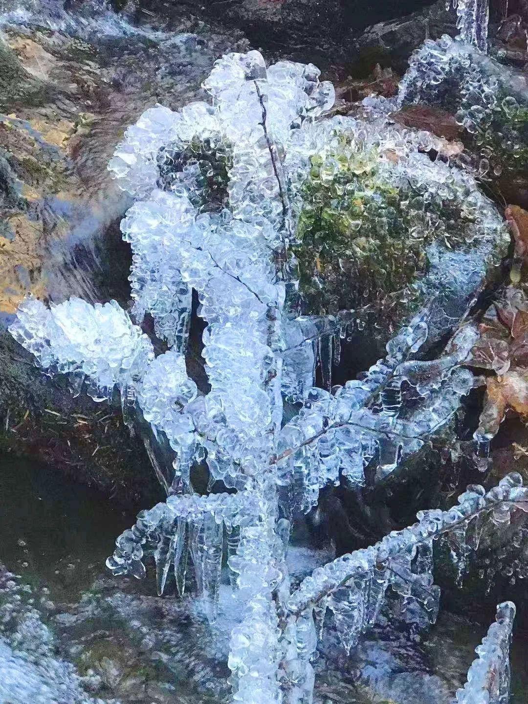 丽江十大冬季旅游好去处2025年排行榜前十名榜单出炉