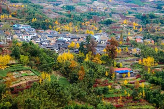 浙江十大赏红叶好去处2025年排行榜前十名榜单出炉