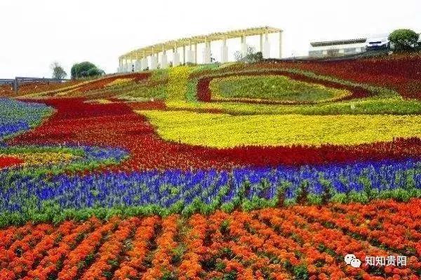 贵阳市十大乡村游景点2025年排行榜前十名榜单出炉 贵阳市十大乡村游景点2025年排行榜前十名榜单出炉