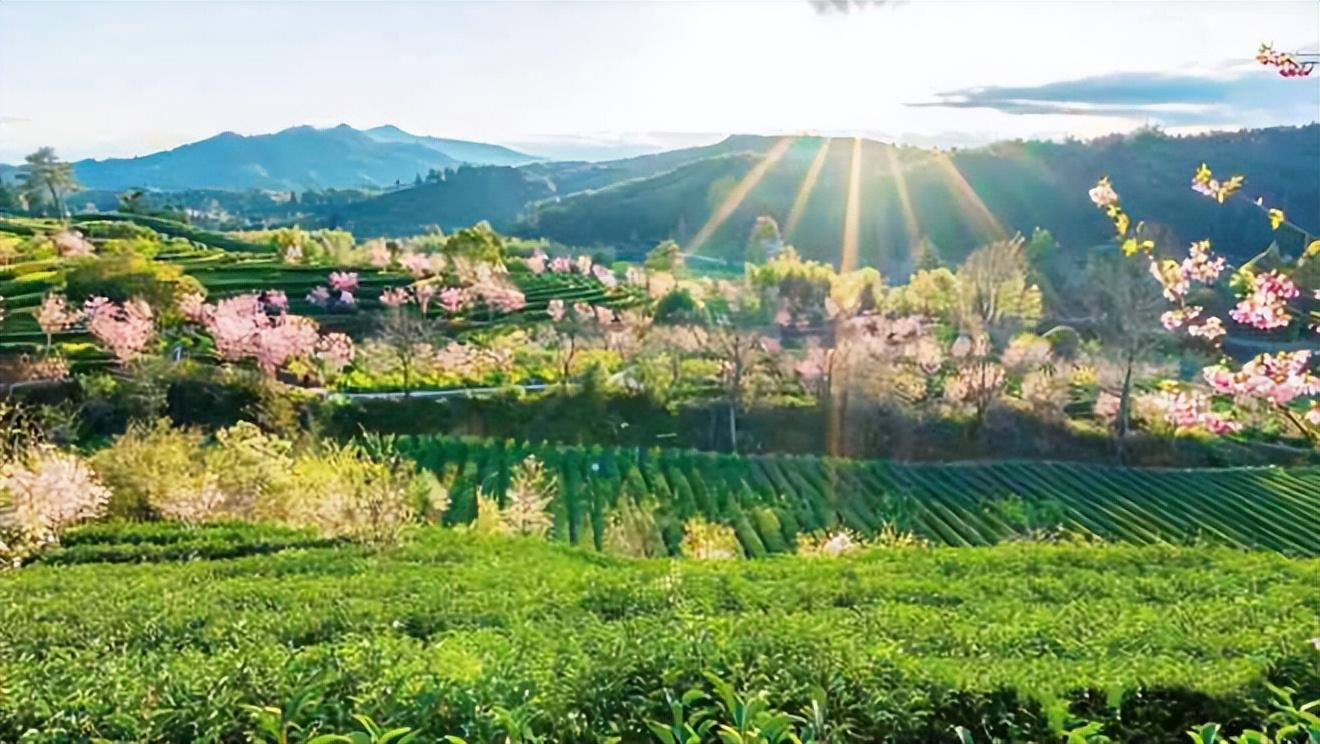 世界十大历史博物馆2025年排行榜前十名榜单出炉