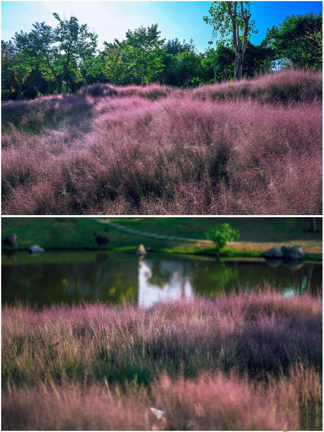 福州十大适合野餐的好地方2025年排行榜前十名榜单出炉 福州十大适合野餐的好地方2025年排行榜前十名榜单出炉