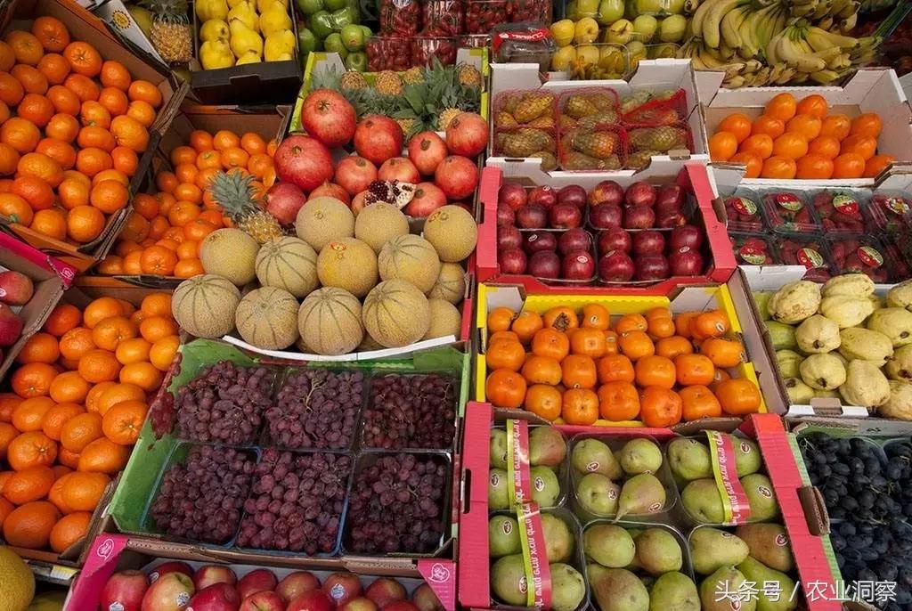 世界上最危险的水果2025年排行榜前十名榜单出炉 世界上最危险的水果2025年排行榜前十名榜单出炉