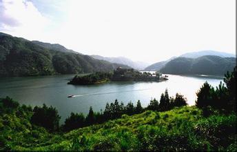 十首关于春天的经典古诗词2025年排行榜前十名榜单出炉 十首关于春天的经典古诗词2025年排行榜前十名榜单出炉