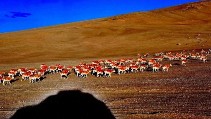 青海自然景观前十名2025年排行榜前十名榜单出炉