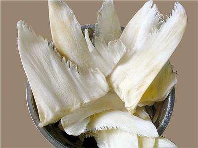 世界上十大最具营养鱼类2025年排行榜前十名榜单出炉