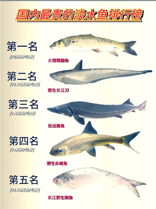 世界上十大最具营养鱼类2025年排行榜前十名榜单出炉