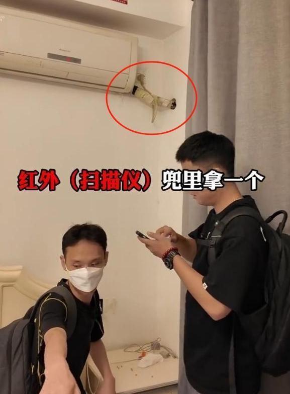 石家庄十大最美民宿2025年排行榜前十名榜单出炉