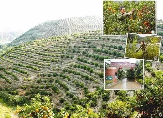 广东十大农家乐2025年排行榜前十名榜单出炉