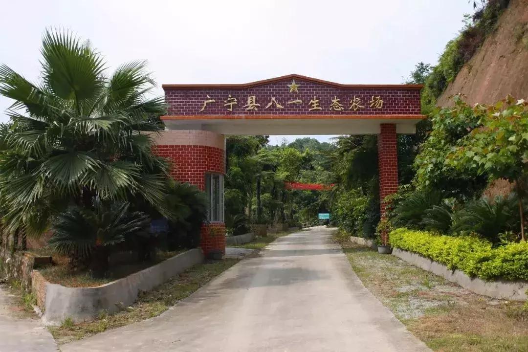 广东十大农家乐2025年排行榜前十名榜单出炉