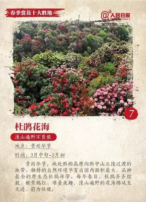 新疆十大赏花胜地2025年排行榜前十名榜单出炉 新疆十大赏花胜地2025年排行榜前十名榜单出炉