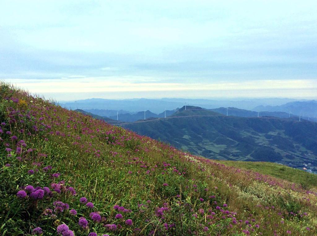 毕节十大著名景点2025年排行榜前十名榜单出炉