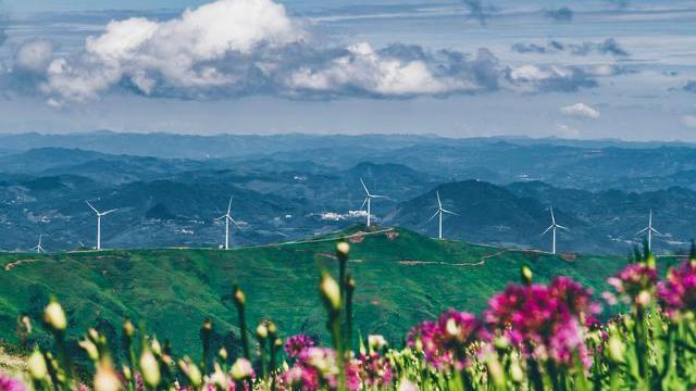 毕节十大著名景点2025年排行榜前十名榜单出炉