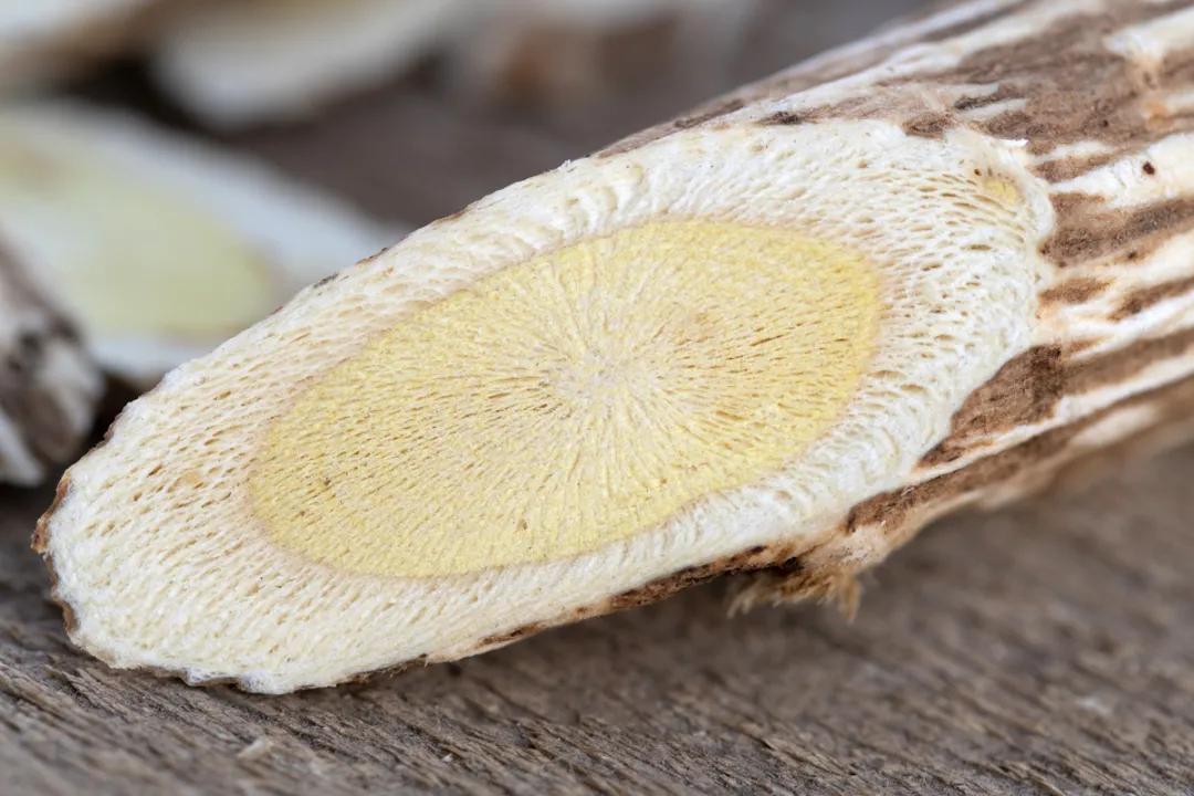 十大黄芪产地2025年排行榜前十名榜单出炉