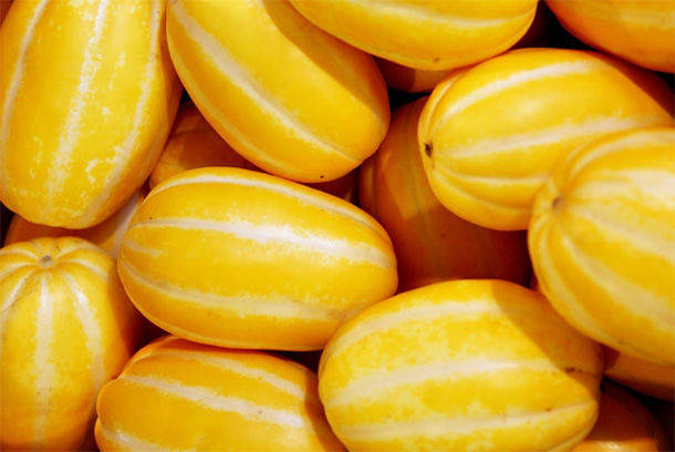 全国十大香瓜产地2026年排行榜前十名榜单出炉 全国十大香瓜产地2026年排行榜前十名榜单出炉