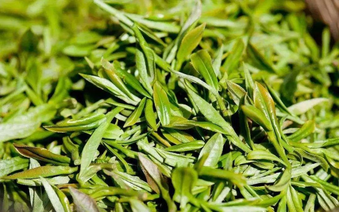 杭州十大城市名片2025年排行榜前十名榜单出炉 杭州十大城市名片2025年排行榜前十名榜单出炉