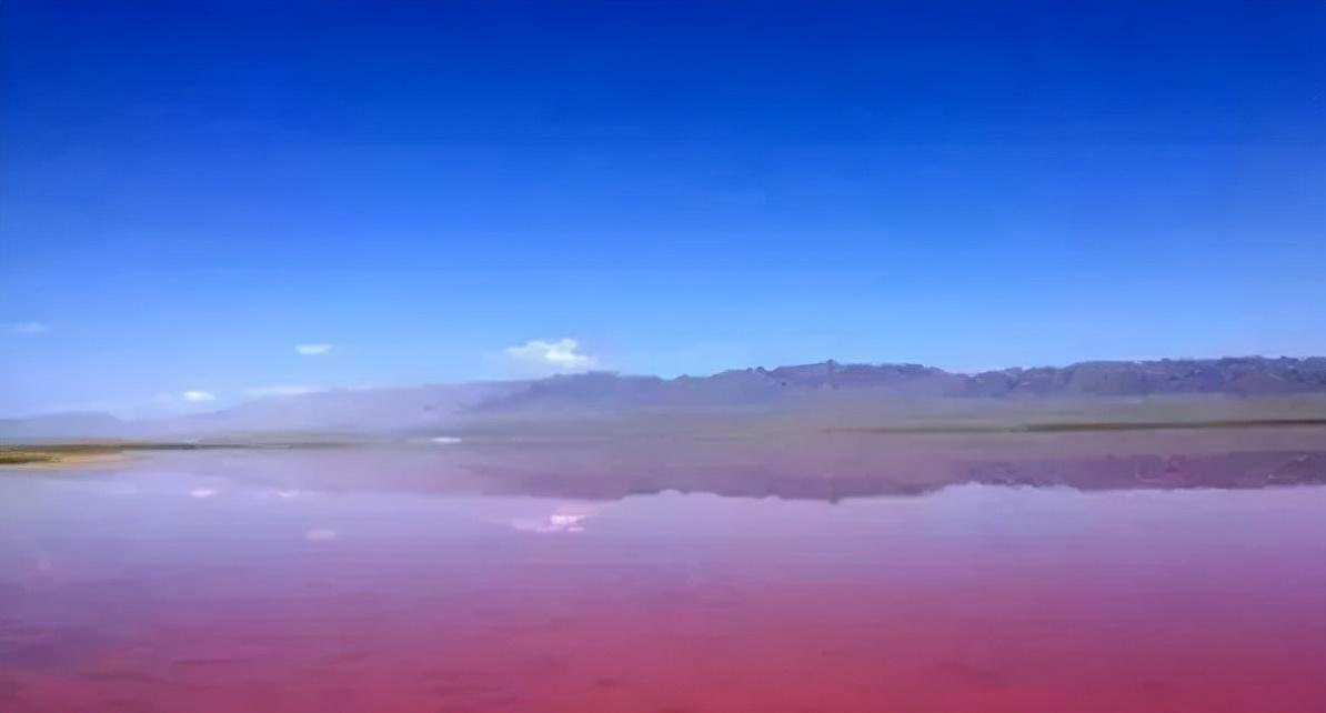 吴忠盐池著名旅游景点2025年排行榜前十名榜单出炉