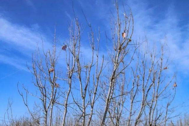 昆明十大爬山好去处2025年排行榜前十名榜单出炉 昆明十大爬山好去处2025年排行榜前十名榜单出炉