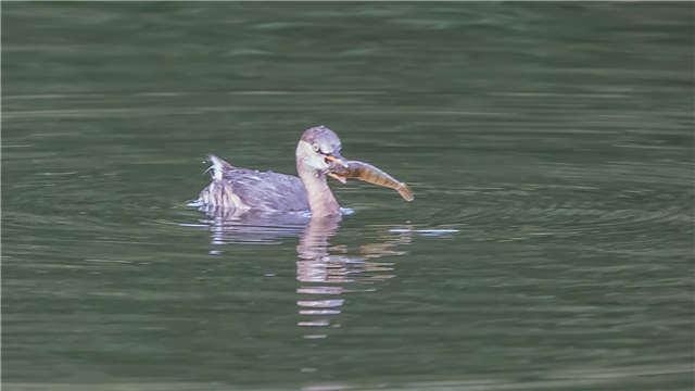 中山十大钓鱼好地方2025年排行榜前十名榜单出炉 中山十大钓鱼好地方2025年排行榜前十名榜单出炉
