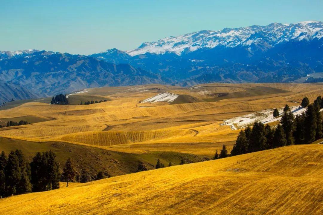 昌吉吉木萨尔县著名景点2025年排行榜前十名榜单出炉