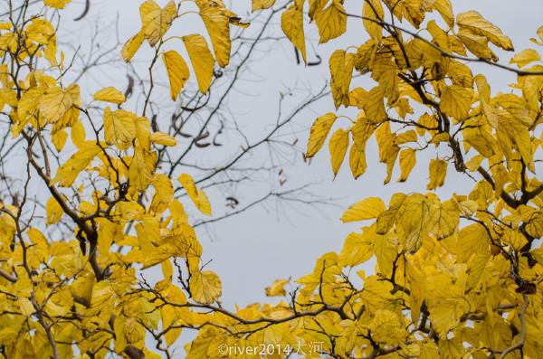 银川最美的十大公园2025年排行榜前十名榜单出炉