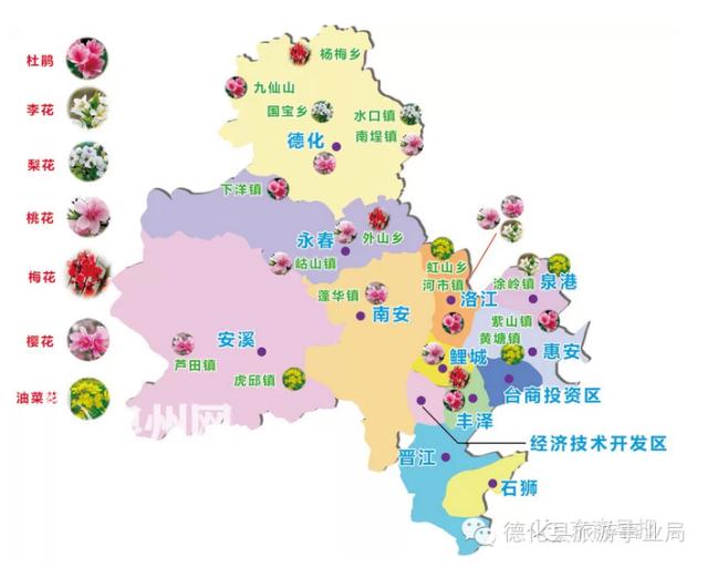 泉州十大赏花胜地2025年排行榜前十名榜单出炉