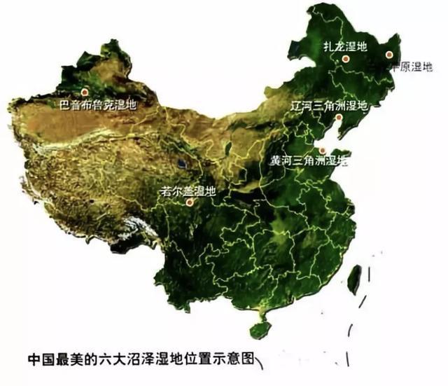 世界十大最美沼泽2025年排行榜前十名榜单出炉 世界十大最美沼泽2025年排行榜前十名榜单出炉