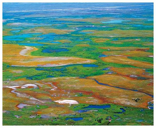 世界十大最美沼泽2025年排行榜前十名榜单出炉 世界十大最美沼泽2025年排行榜前十名榜单出炉