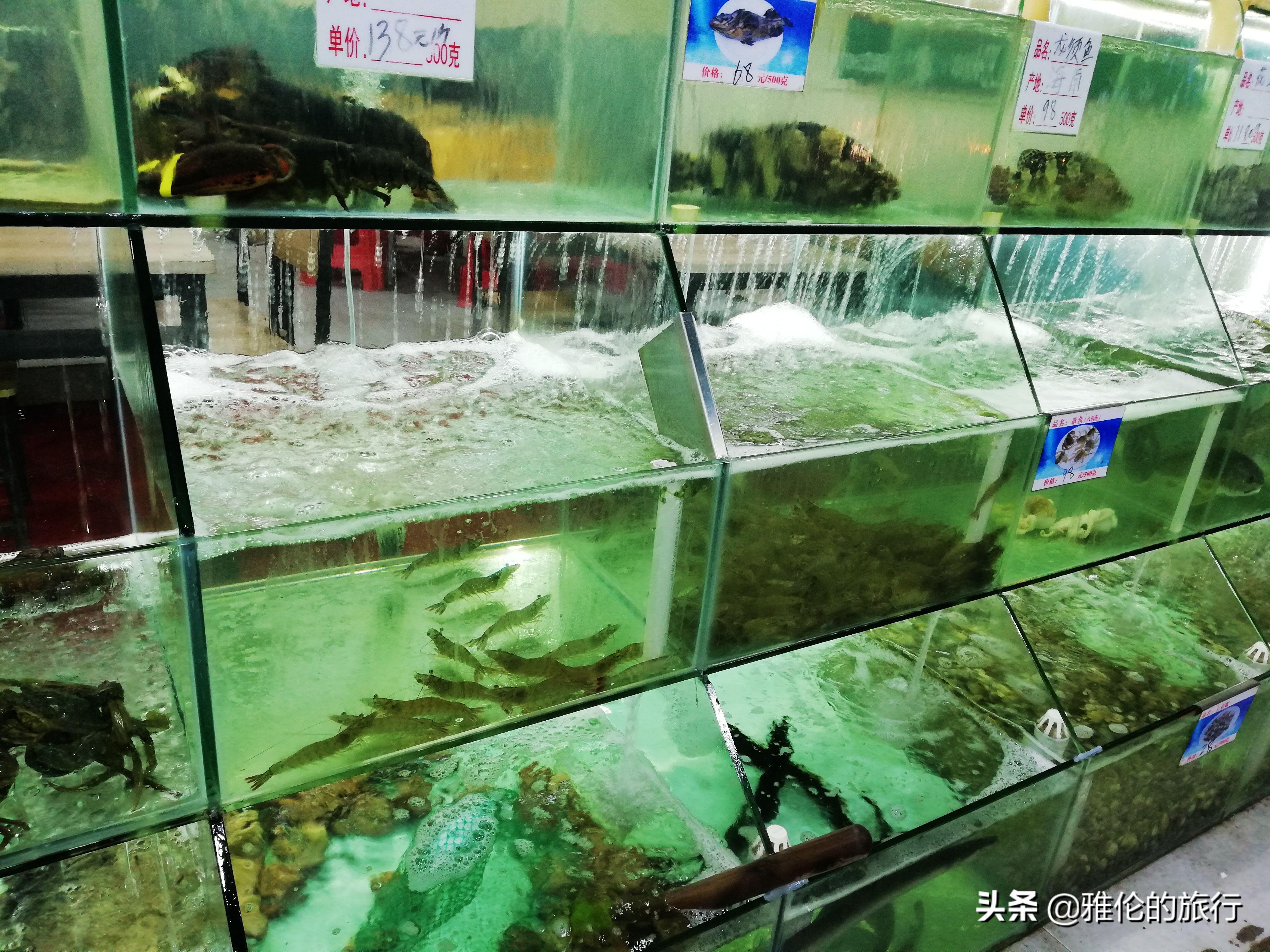 海南十大家常菜2025年排行榜前十名榜单出炉