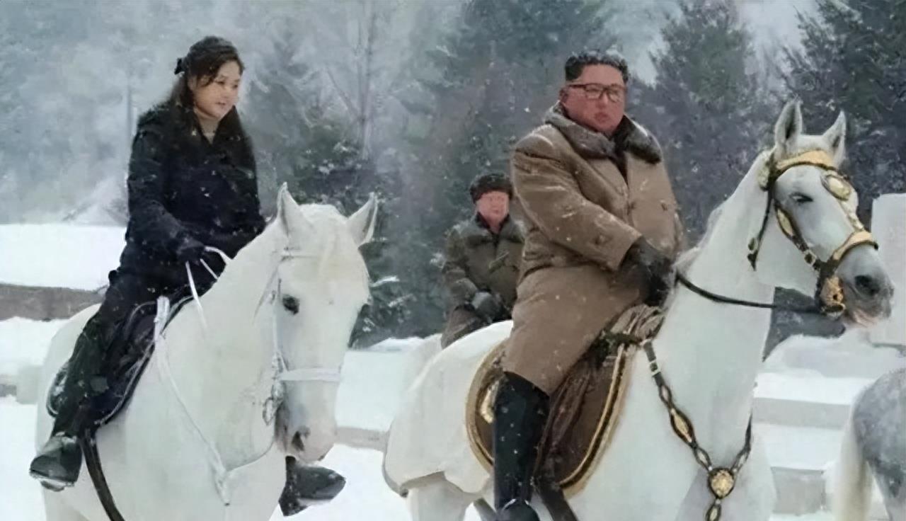 马的十大品种2025年排行榜前十名榜单出炉