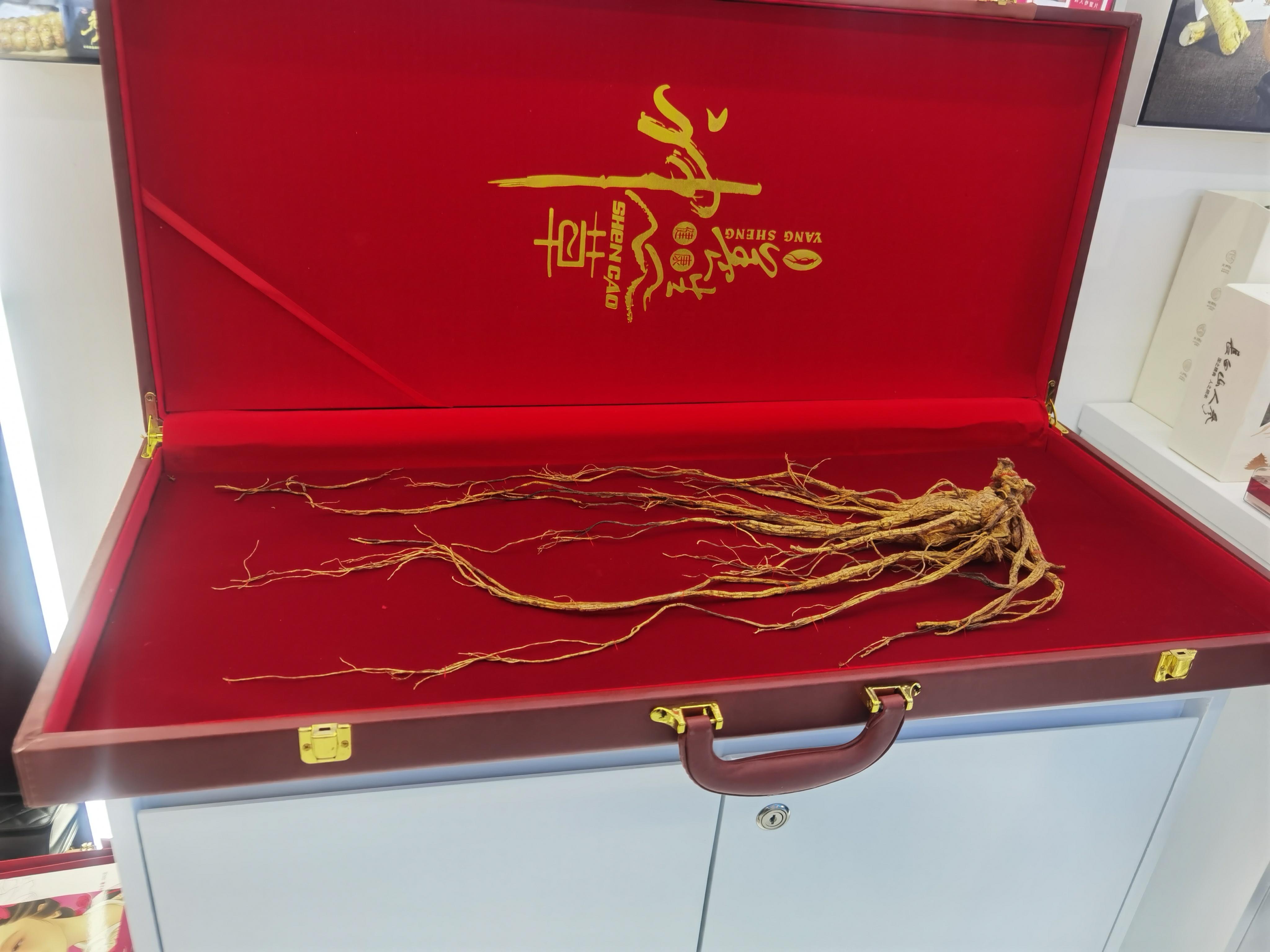 吉林省博物院十大镇馆之宝2026年排行榜前十名榜单出炉