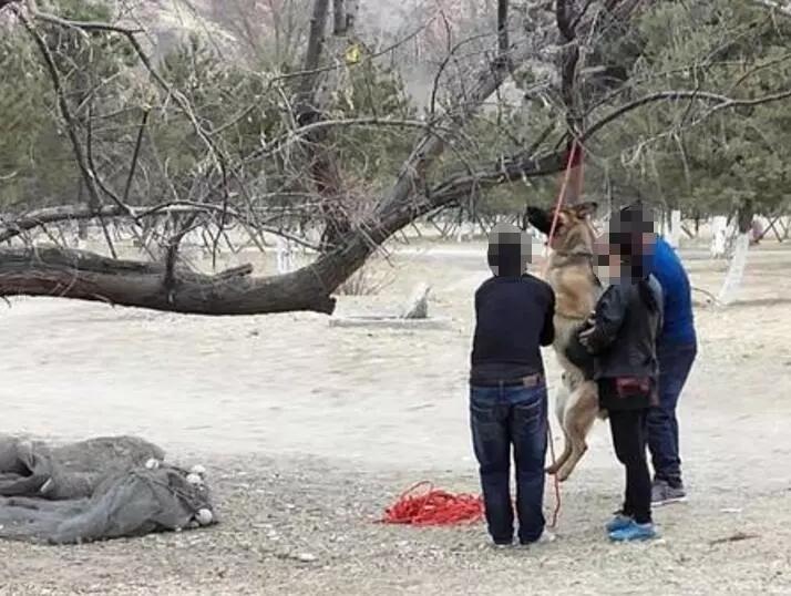 赤峰市红山区十大著名旅游景点2025年排行榜前十名榜单出炉