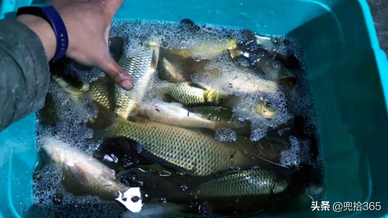 云南十大钓鱼好地方2025年排行榜前十名榜单出炉