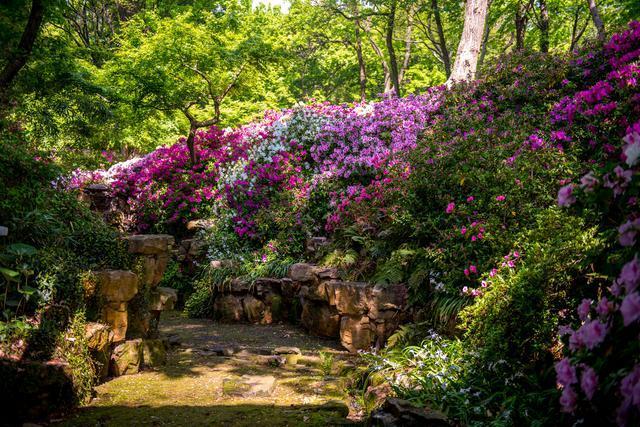 无锡十大赏花胜地2025年排行榜前十名榜单出炉