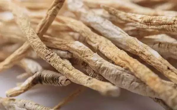 十大党参产地2026年排行榜前十名有哪些