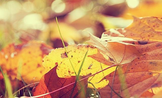 十首关于雨的经典古诗词2025年排行榜前十名榜单出炉