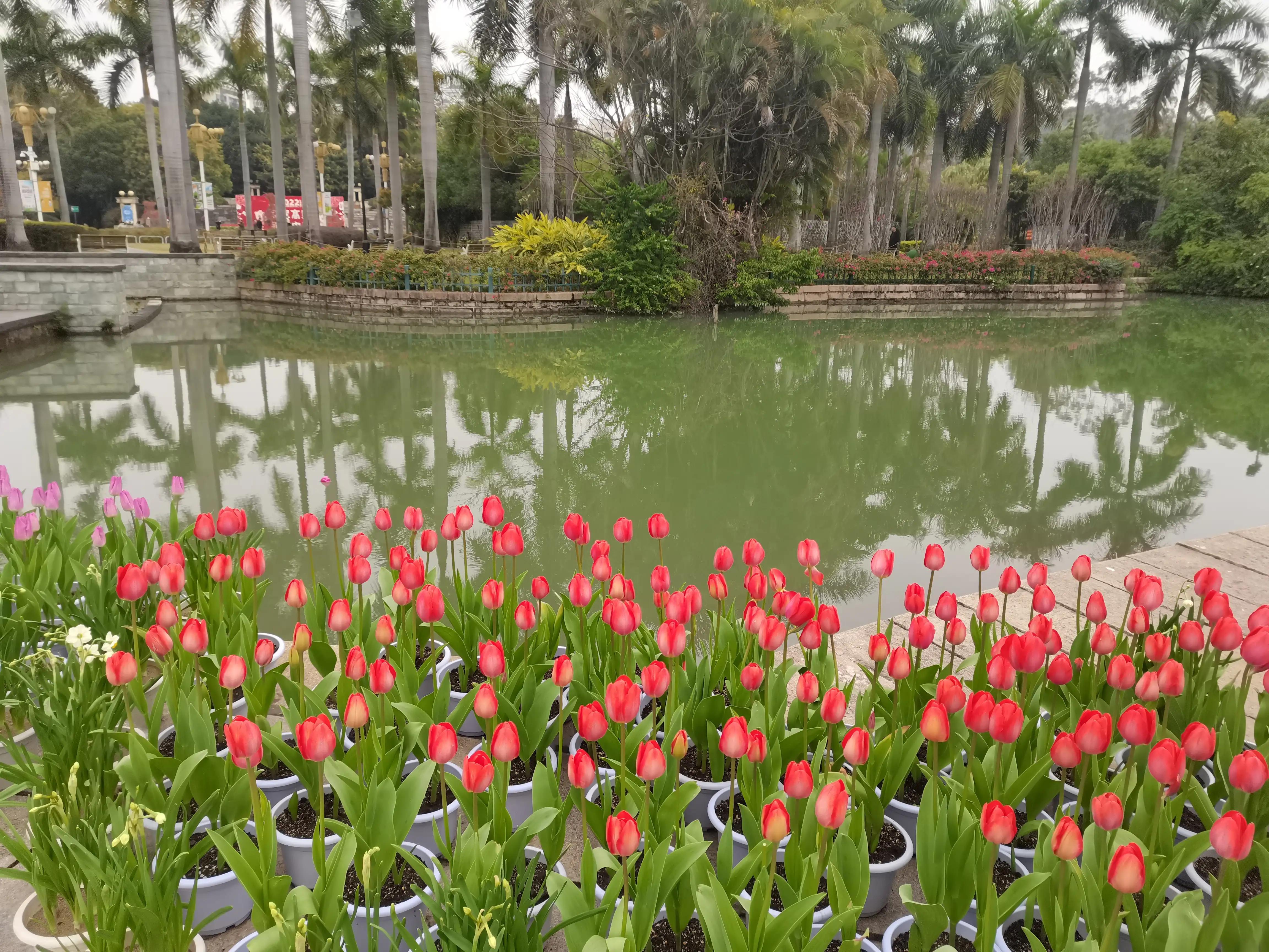 福州十大温泉2025年排行榜前十名榜单出炉 福州十大温泉2025年排行榜前十名榜单出炉