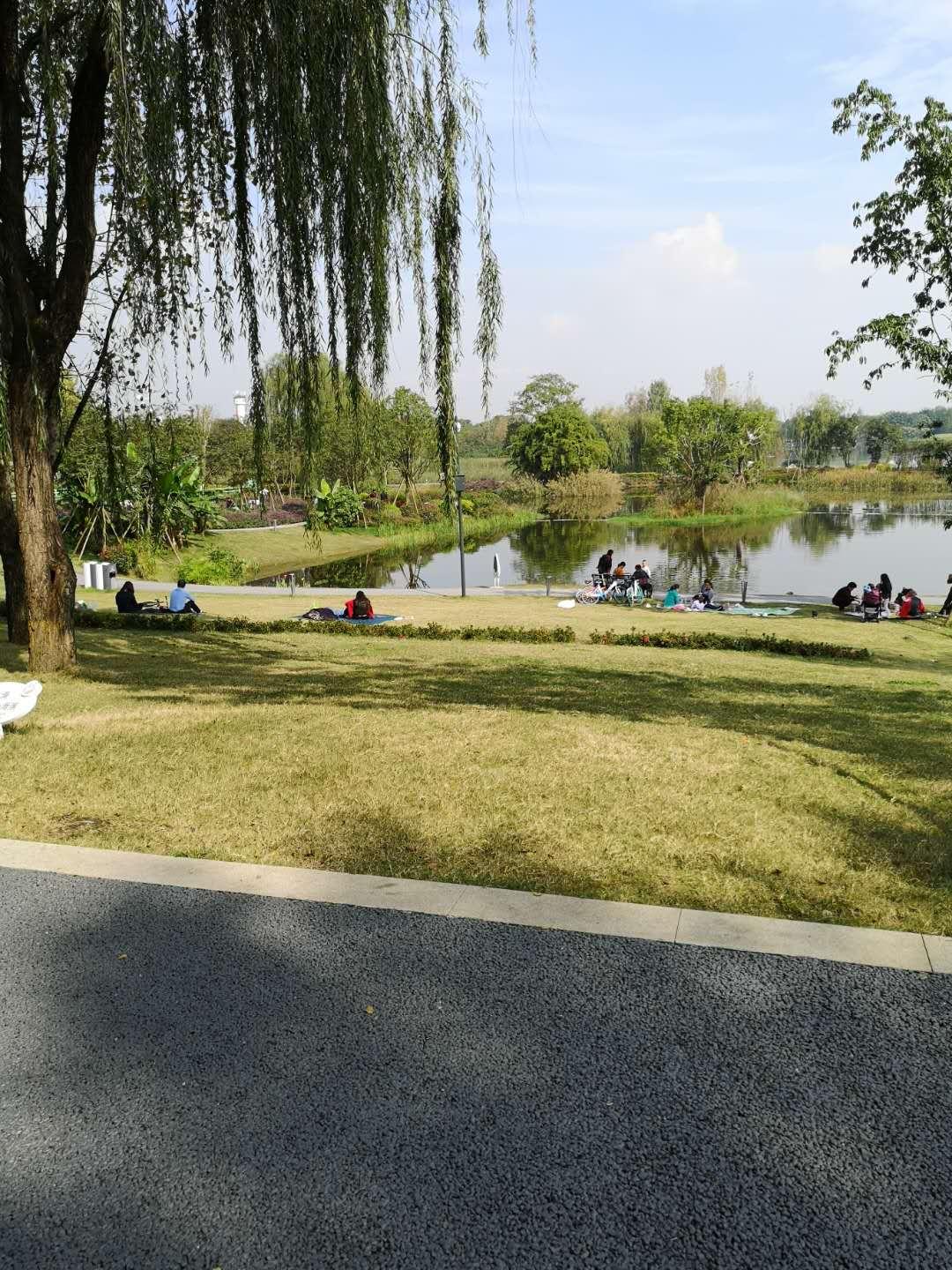 成都十大城市公园2025年排行榜前十名榜单出炉