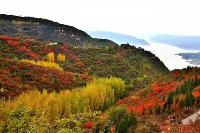 江苏十大秋季旅游好去处2026年排行榜前十名有哪些